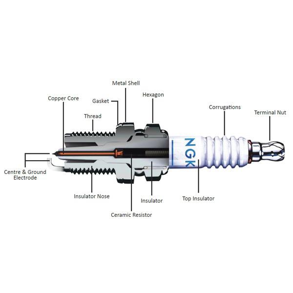 BPR5FS Spark Plug - Pack of 10